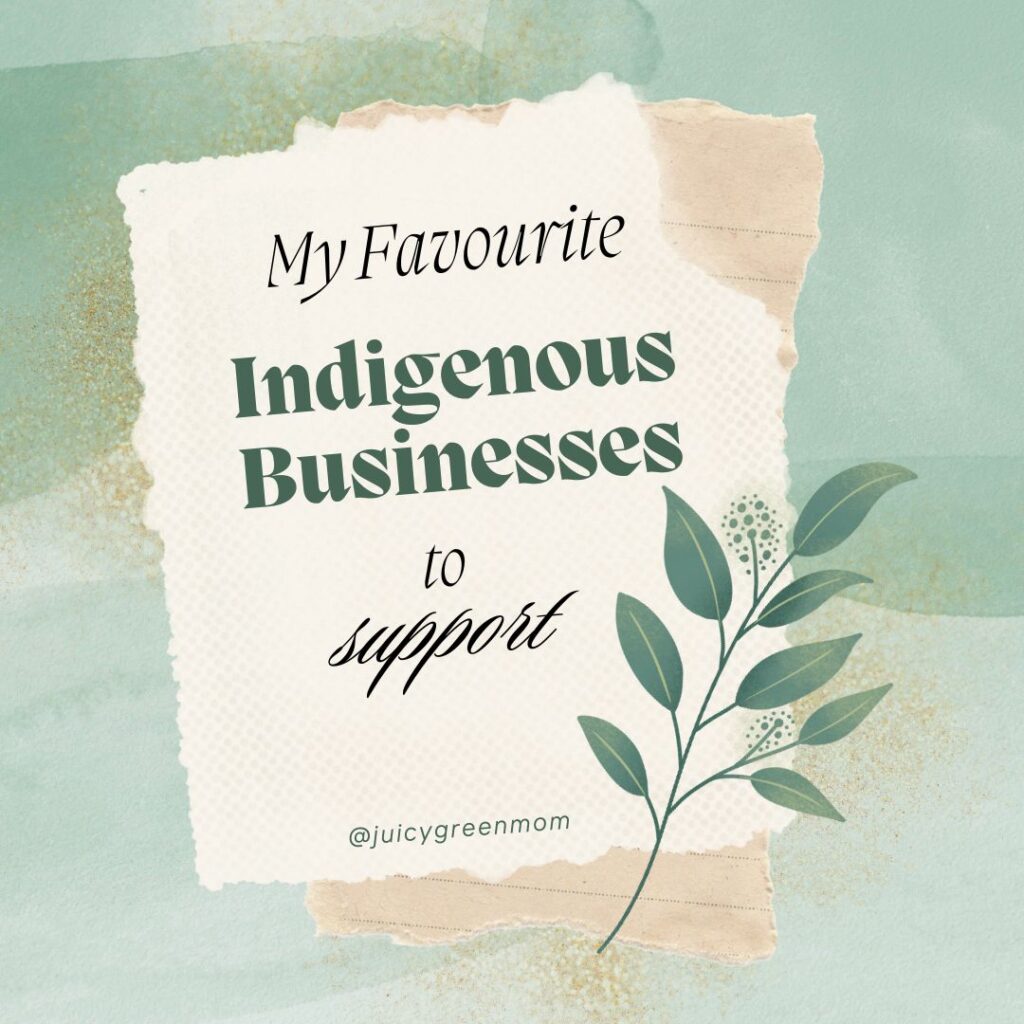 my favourite indigenous businesses to support juicygreenmom